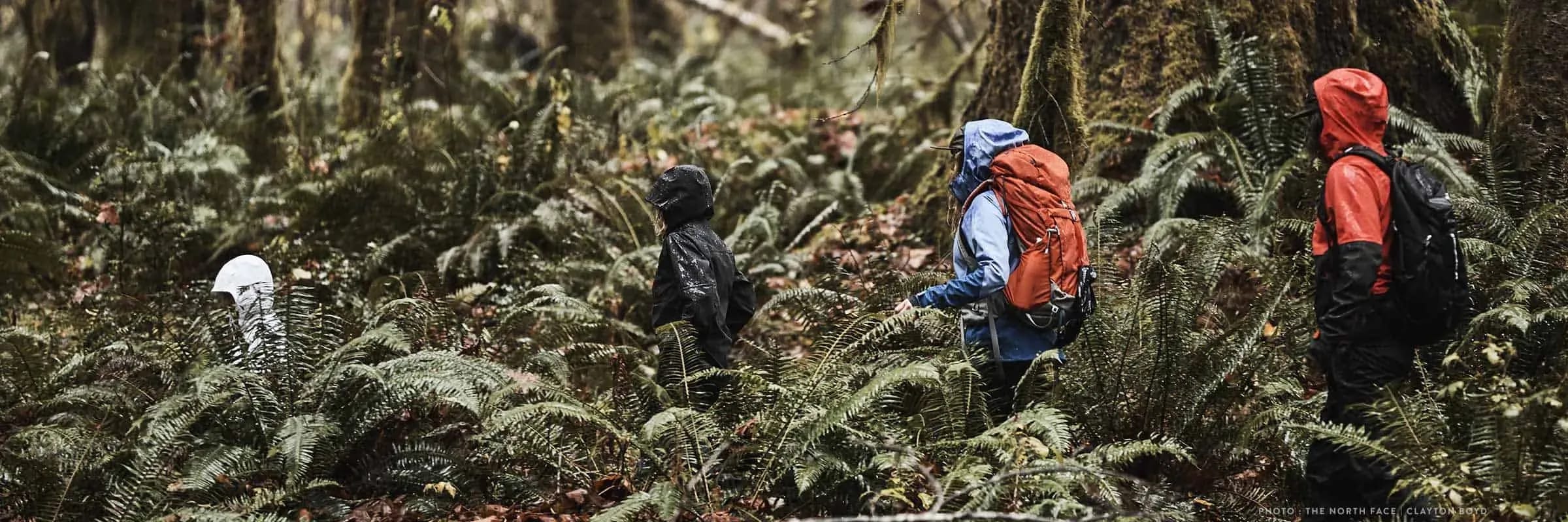 Top 5 Waterproof-Breathable Rain Shells