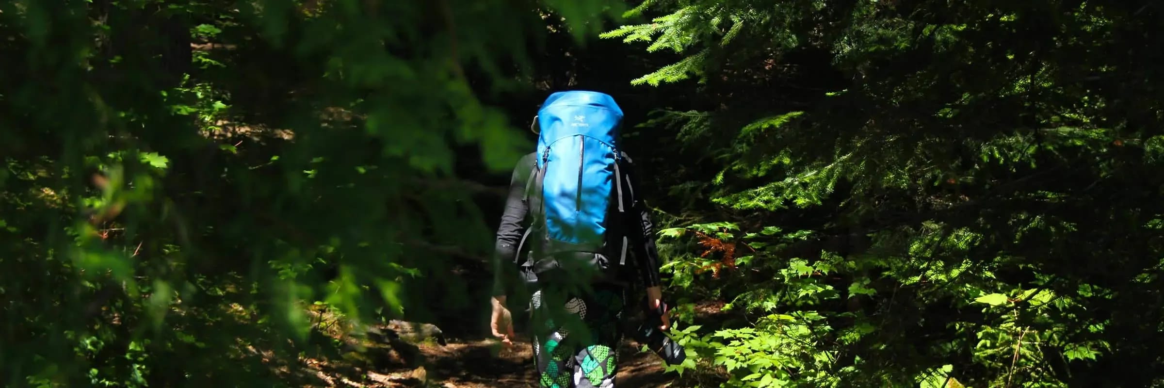 Top Backpacks for Multi-Day Hikes