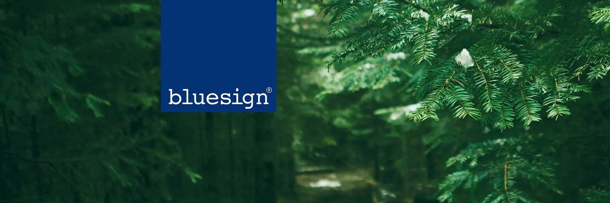 Pourquoi devriez-vous vous soucier du standard Bluesign®