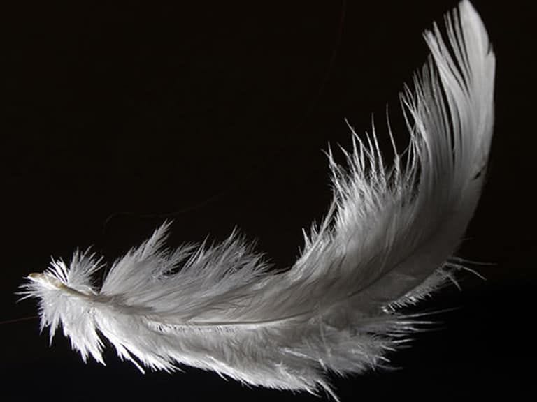 Feathers falling out on sale of down jacket