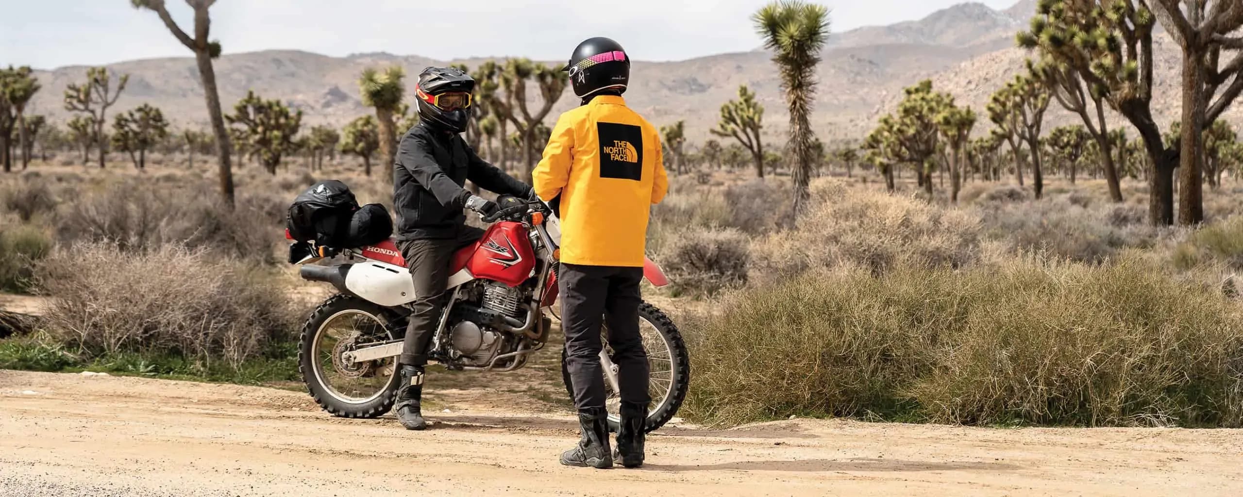 Never Stop Exploring, responsablement: de L.A. à Joshua Tree avec The North Face
