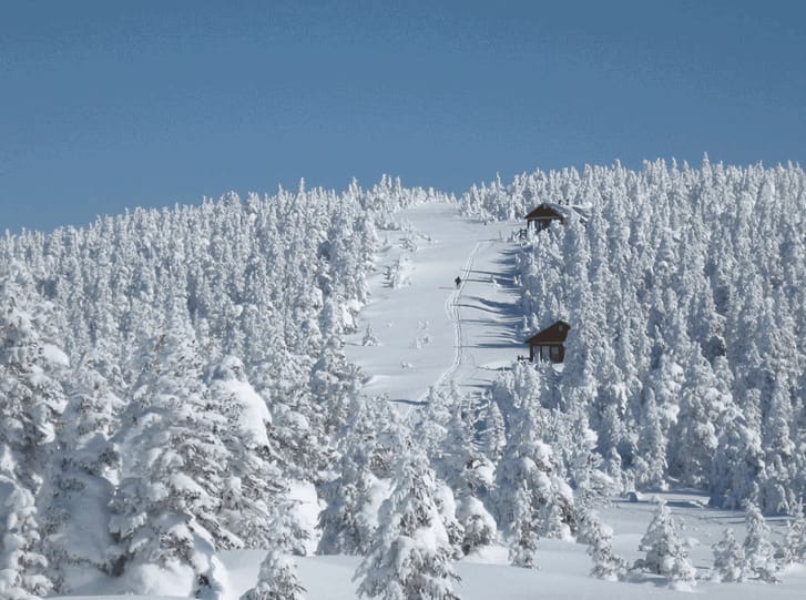 Les plus beaux endroits où faire du ski de fond au Canada - Équipe Canada