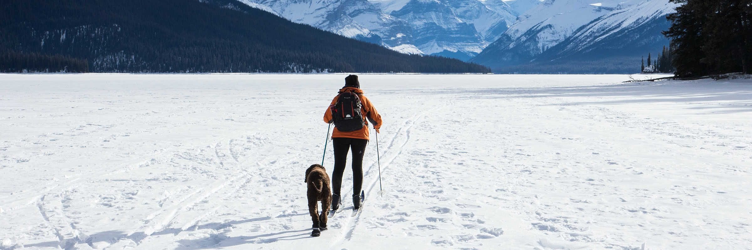 Les bienfaits du ski de fond – L'Express