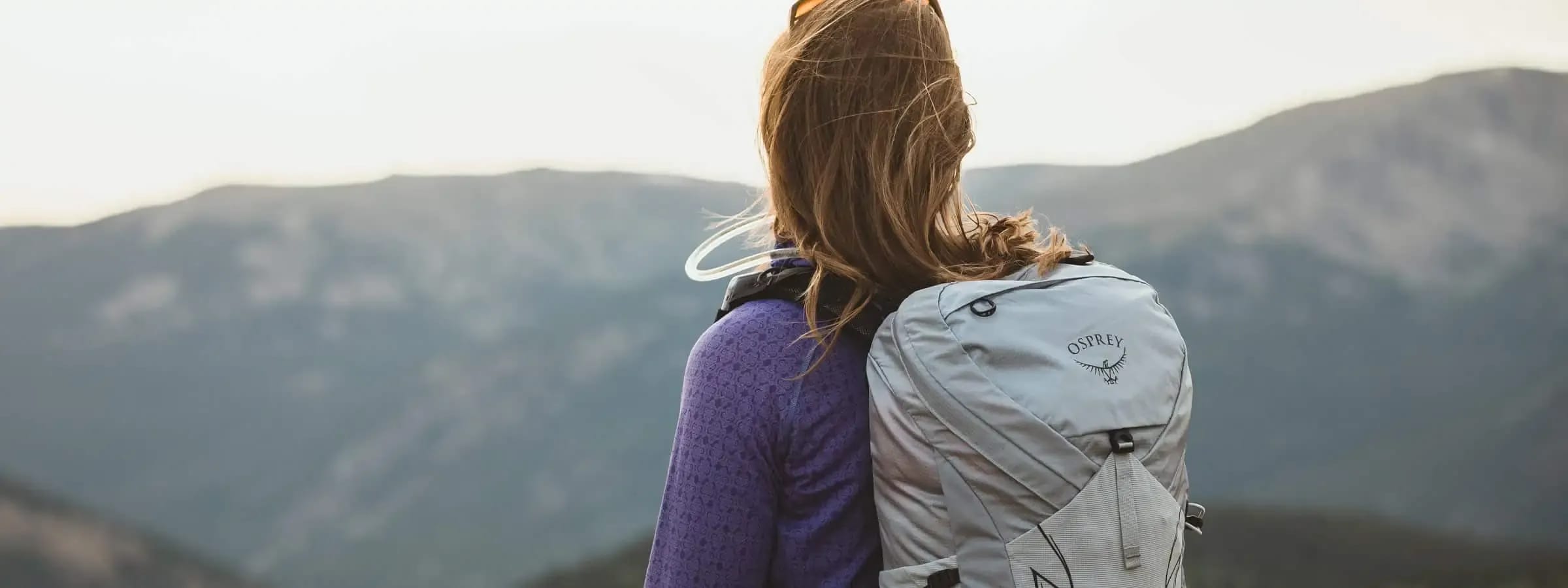 Osprey: Progress, Transparency, Sustainability