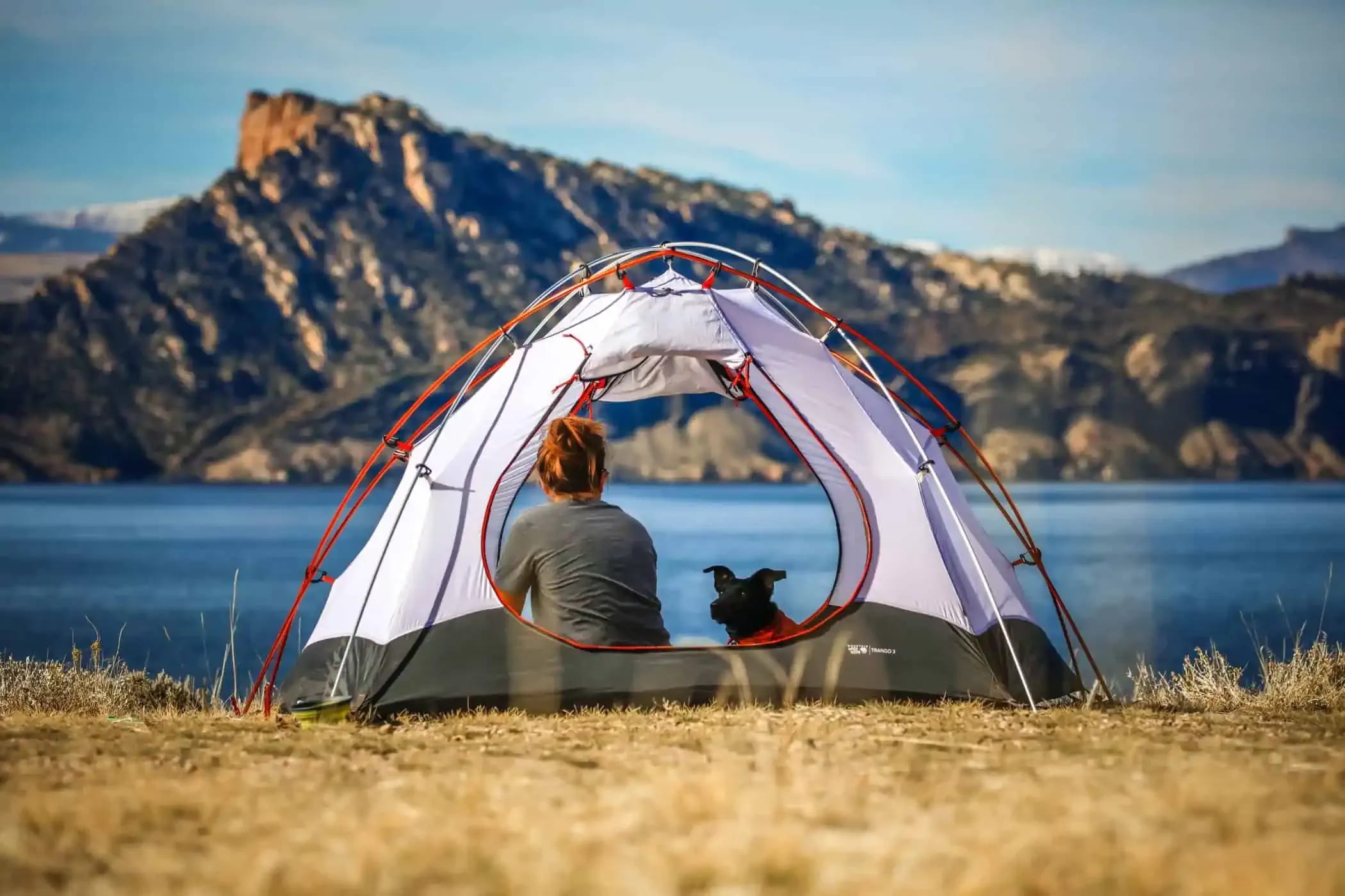 L’équipement essentiel pour un chien heureux en camping