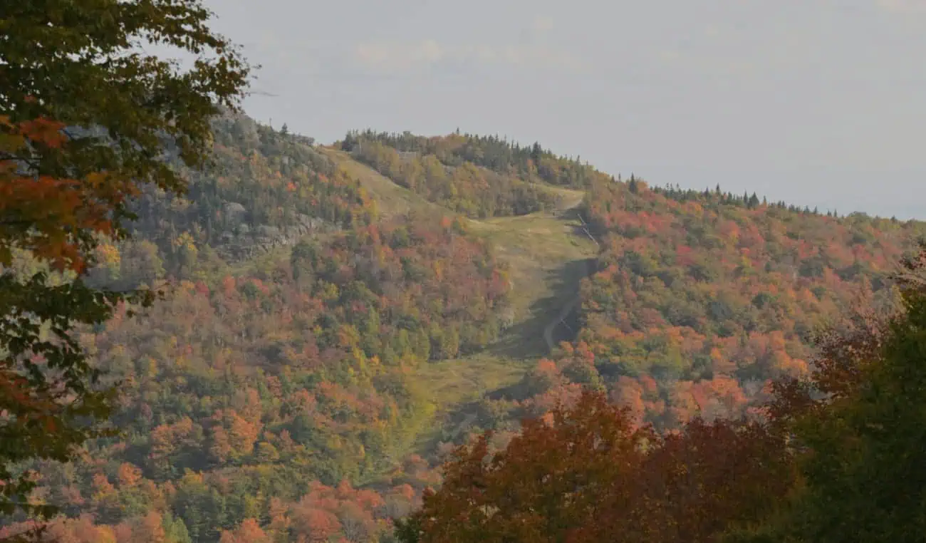 mount_orford
