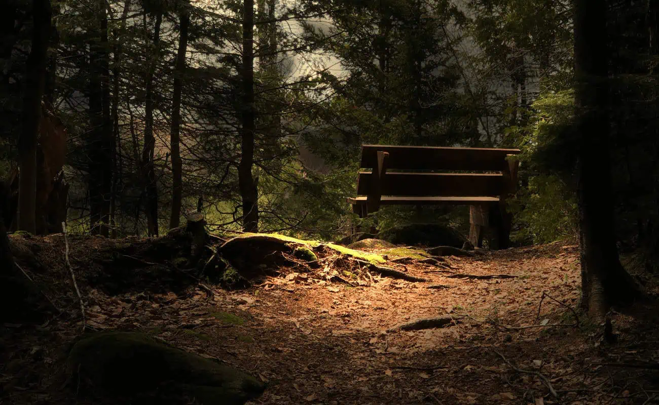 parc_loup_garou