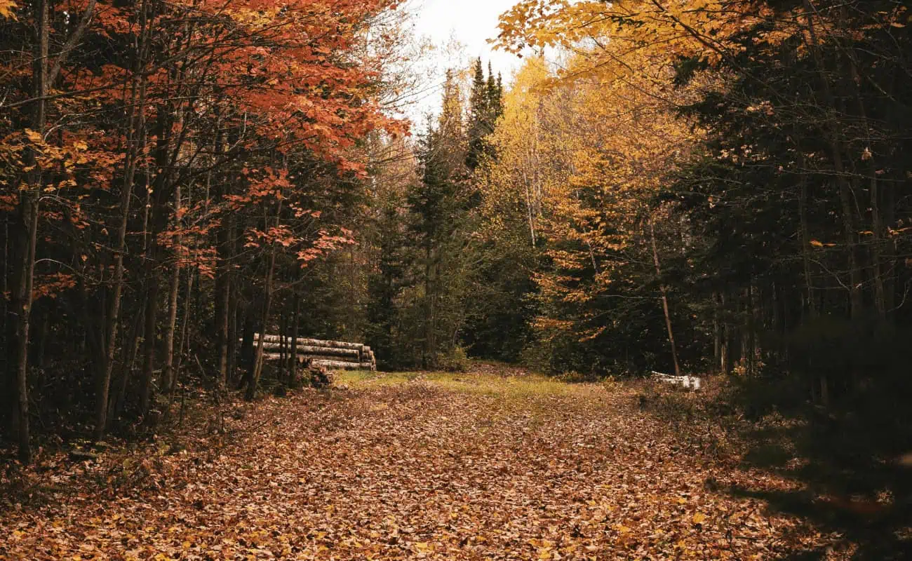 mont_megantic