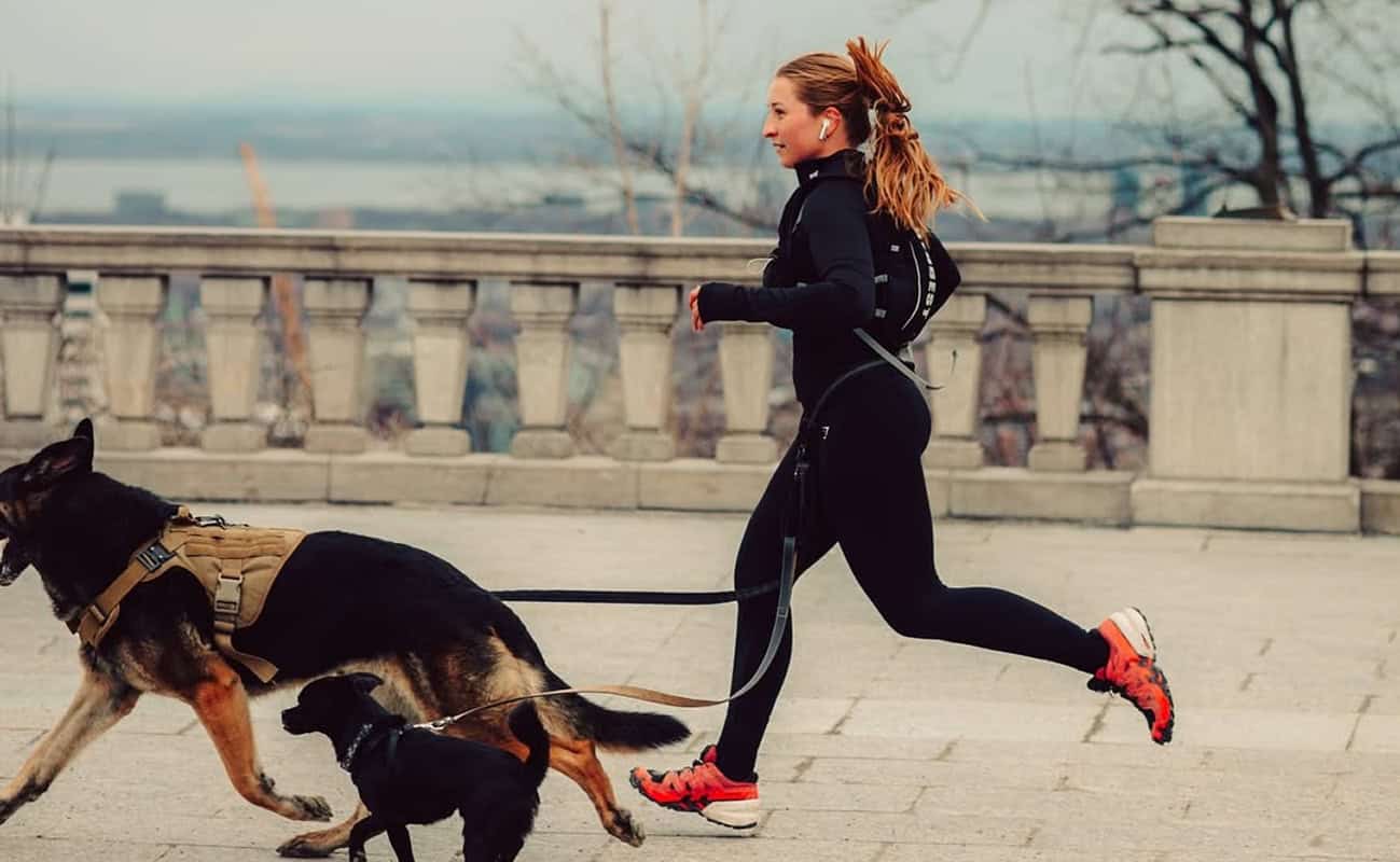 Mont royal_running
