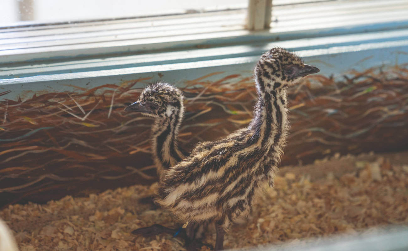 Économusée de l’Huilière